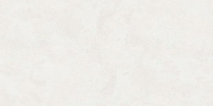 Керамогранит Buono Ceramica Emma Fiore Base Matt арт. EVL4802M (60x120) матовый